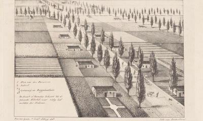 Plattegrond van de kolonie van de Maatschappij van Weldadigheid te Wortel - lithografie, ca. 1822